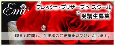 tbVEvU[uh XN[uW@@jԂAkl̂v]󂯂܂B